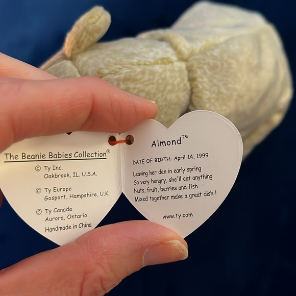 Ty Beanie Baby Almond - Picture 2 of 7